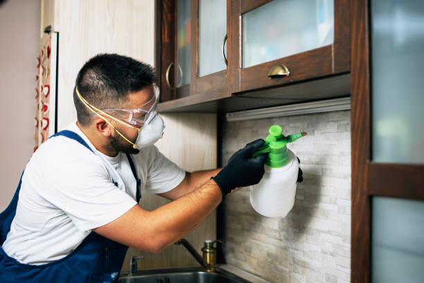 Best Residential Pest Control  in Lake Shore, WA